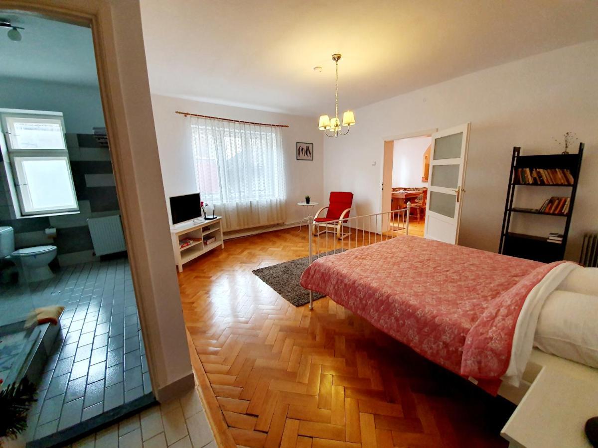Luk Old Town Apartment Sibiu Buitenkant foto